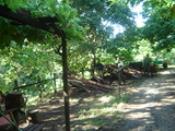 Route RS 2006 061.jpg